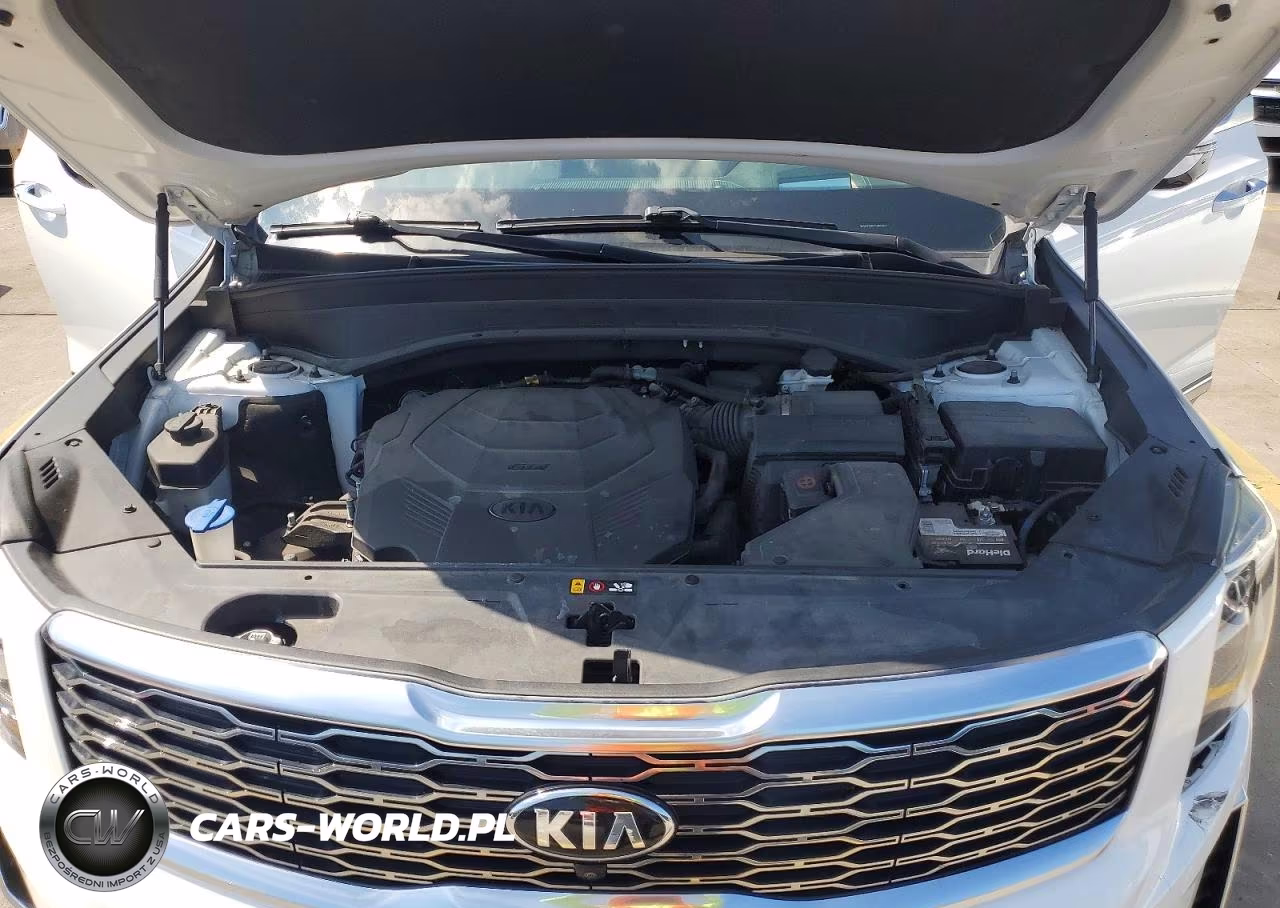 2020 Kia Telluride Sx VIN:5XYP5DHC1LG051012 - 12