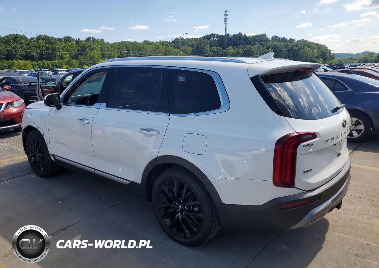 2020 Kia Telluride Sx VIN:5XYP5DHC1LG051012 - 2