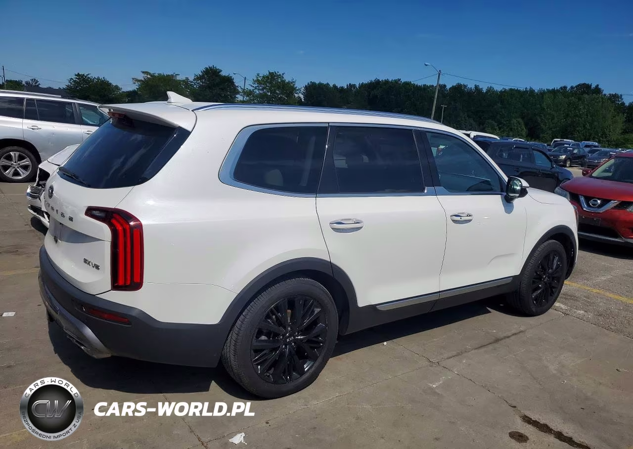 2020 Kia Telluride Sx VIN:5XYP5DHC1LG051012 - 3