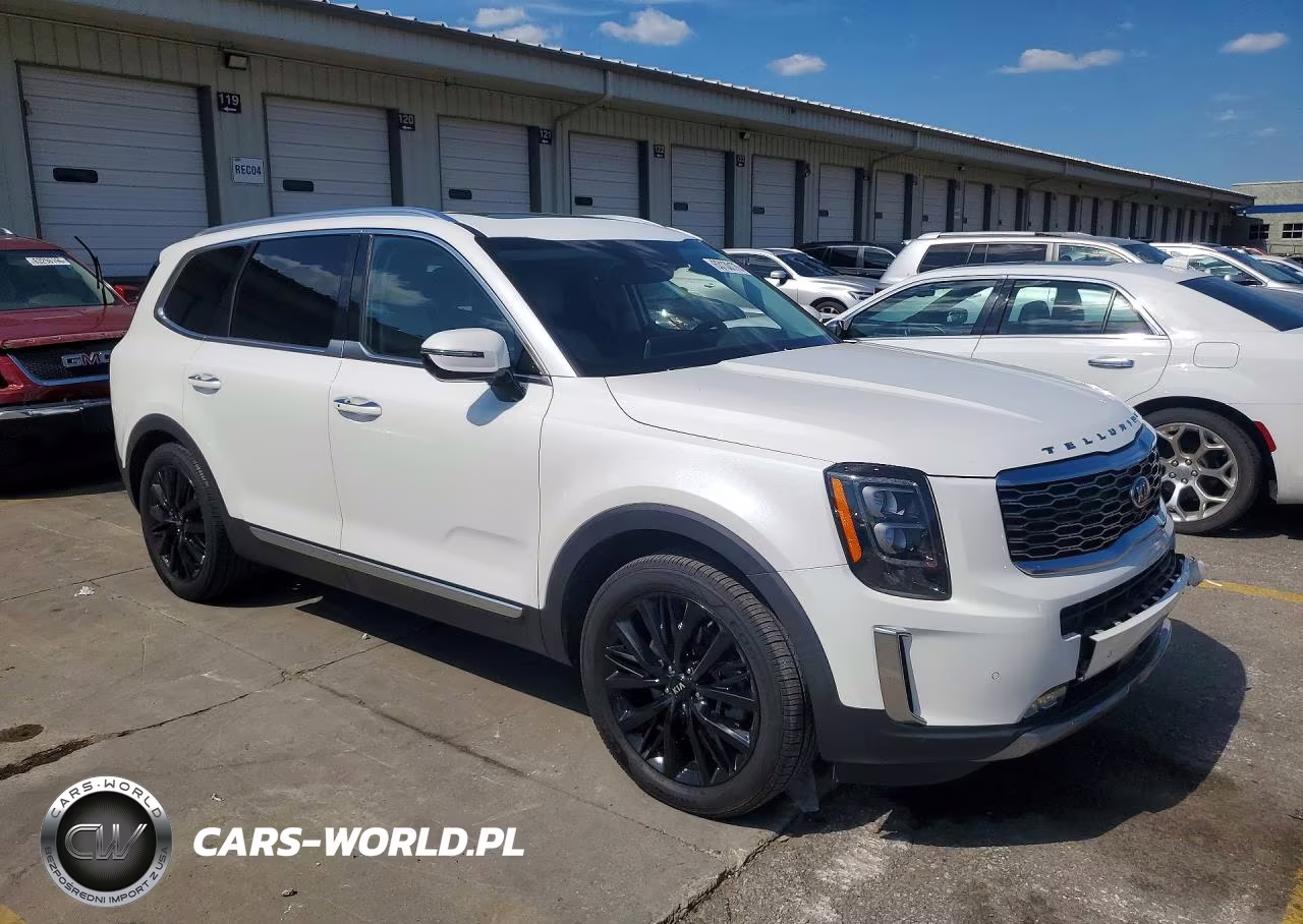 2020 Kia Telluride Sx VIN:5XYP5DHC1LG051012 - 4