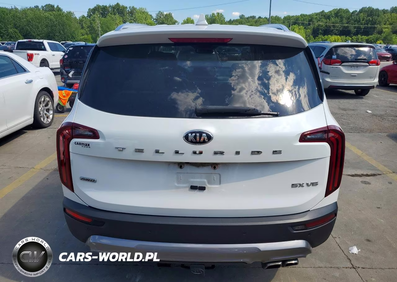 2020 Kia Telluride Sx VIN:5XYP5DHC1LG051012 - 6