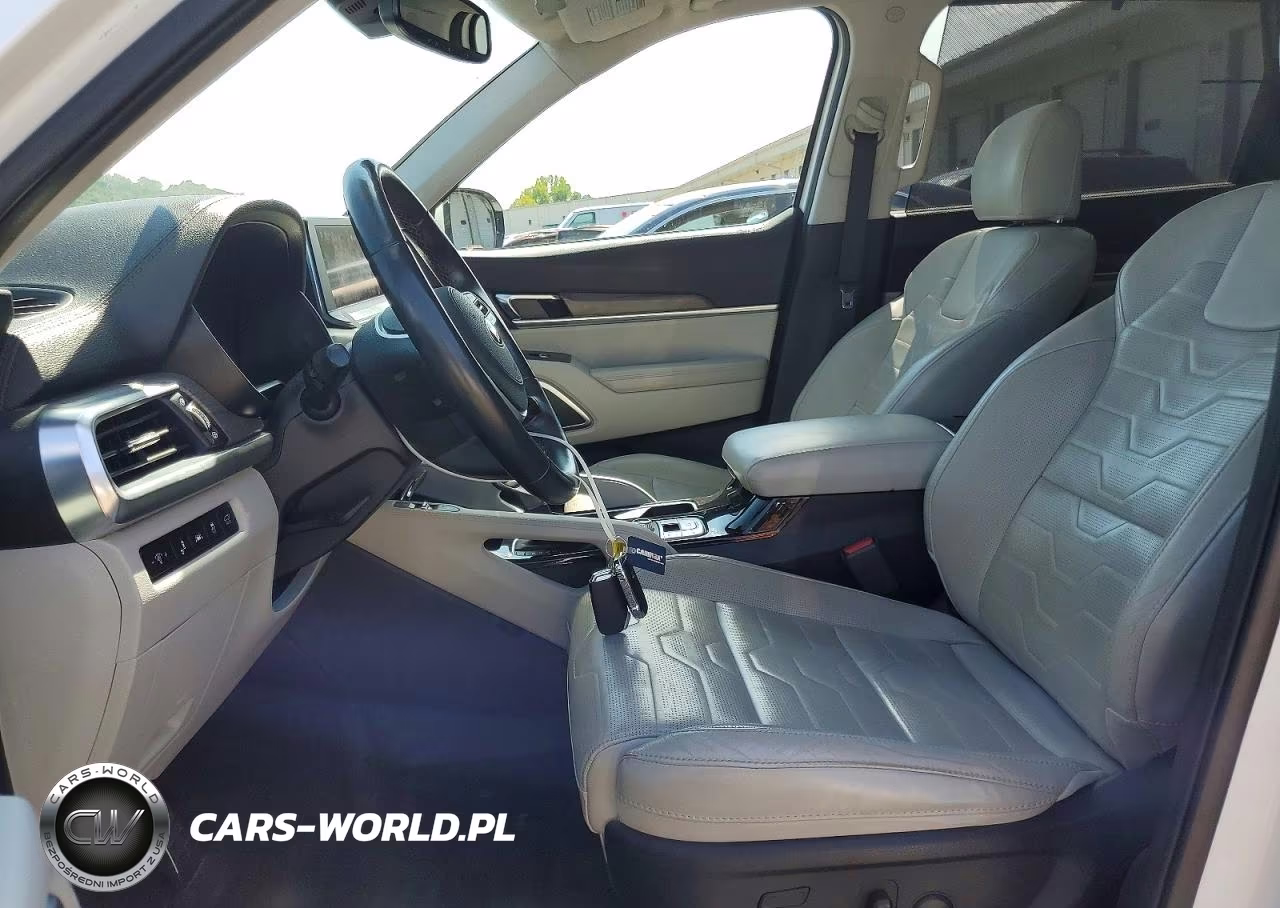 2020 Kia Telluride Sx VIN:5XYP5DHC1LG051012 - 7