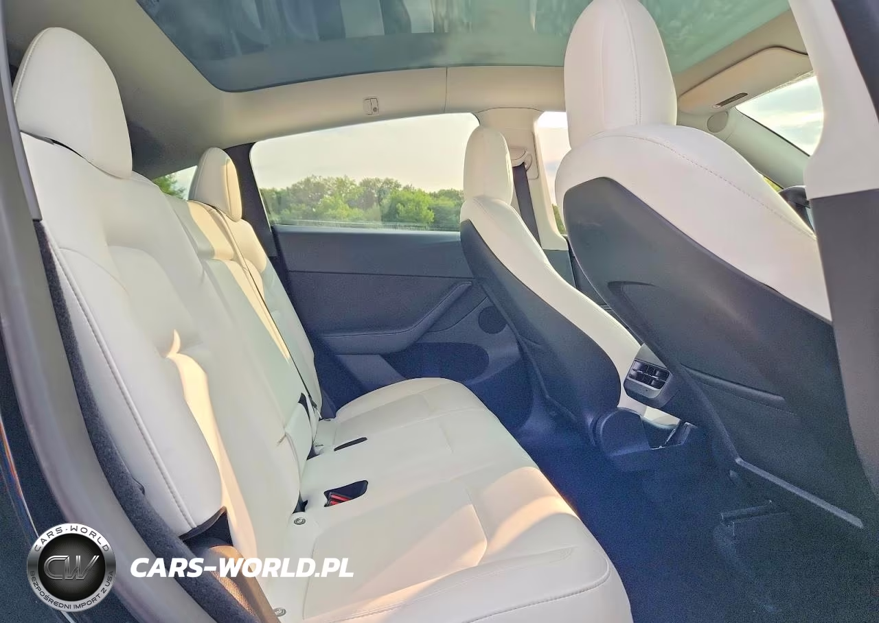 2023 Tesla Model Y VIN:7SAYGDEF0PF636919 - 10