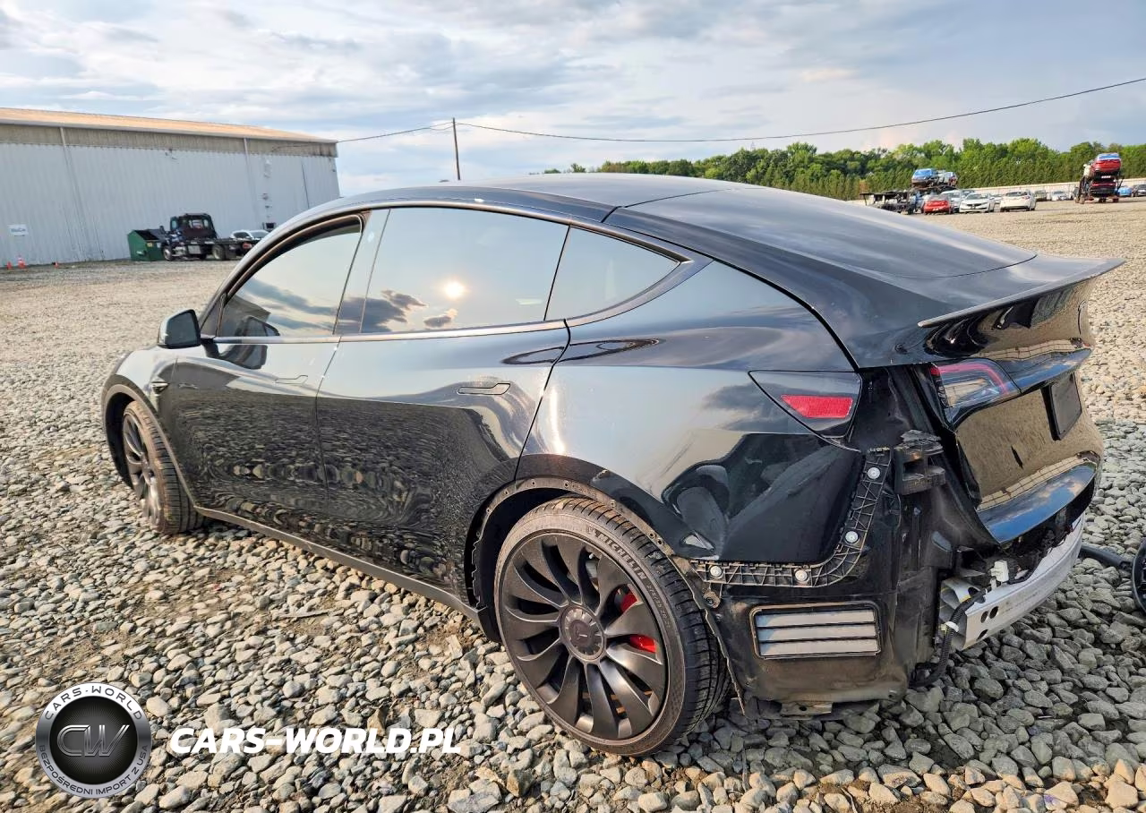 2023 Tesla Model Y VIN:7SAYGDEF0PF636919 - 2