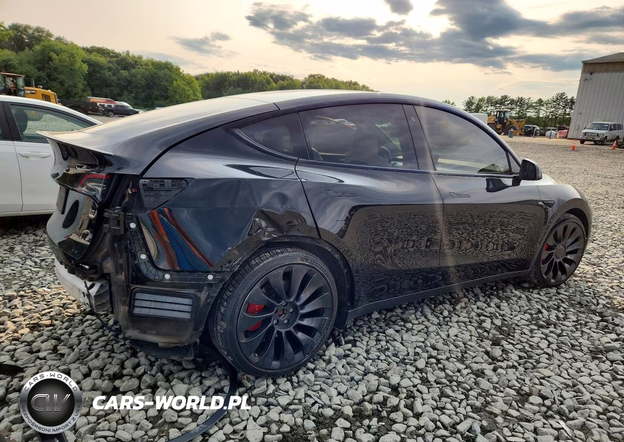 2023 Tesla Model Y VIN:7SAYGDEF0PF636919 - 3