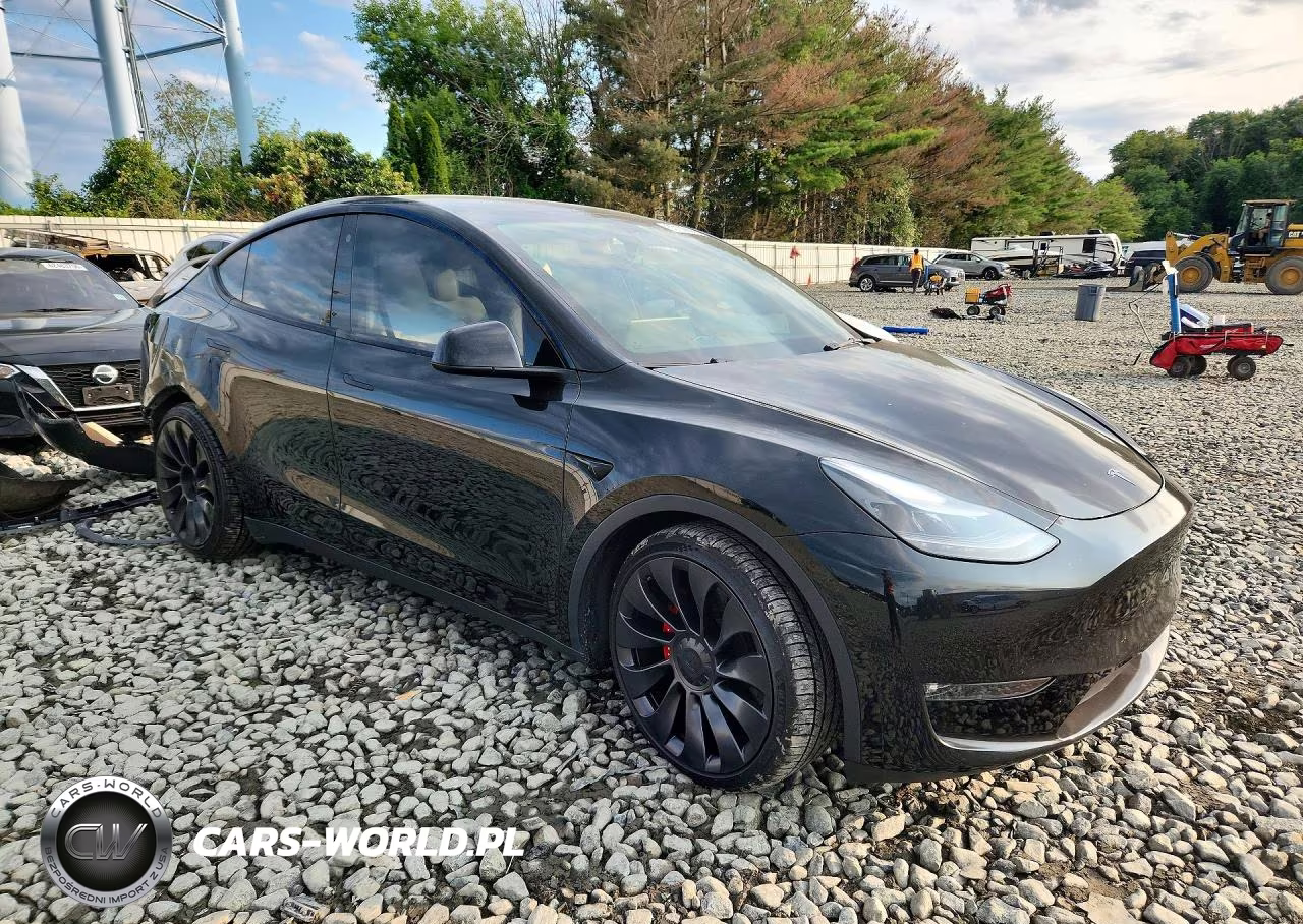 2023 Tesla Model Y VIN:7SAYGDEF0PF636919 - 4