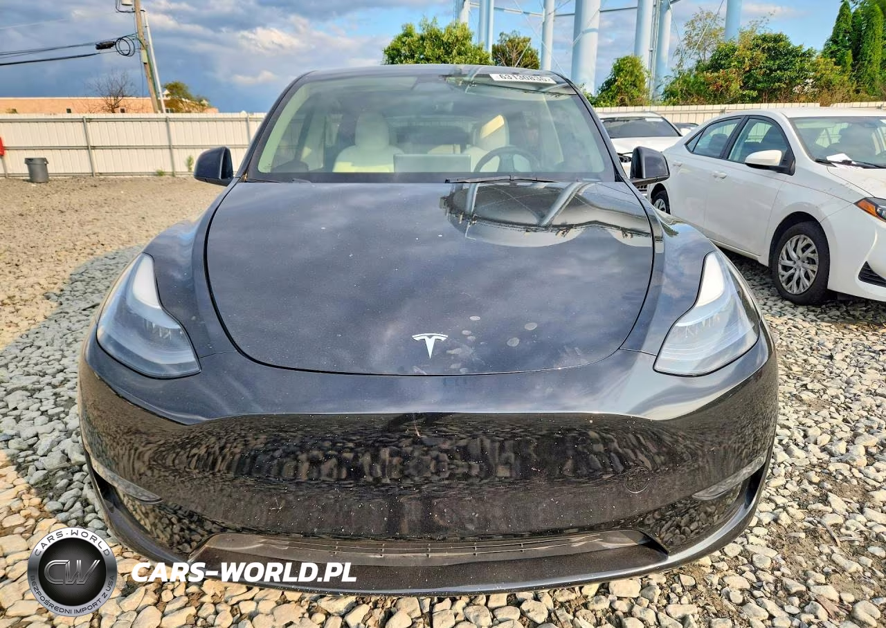 2023 Tesla Model Y VIN:7SAYGDEF0PF636919 - 5