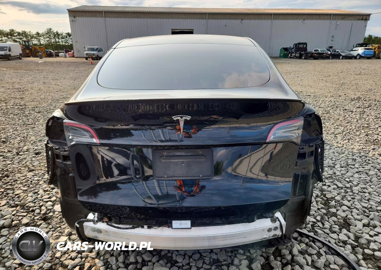 2023 Tesla Model Y VIN:7SAYGDEF0PF636919 - 6