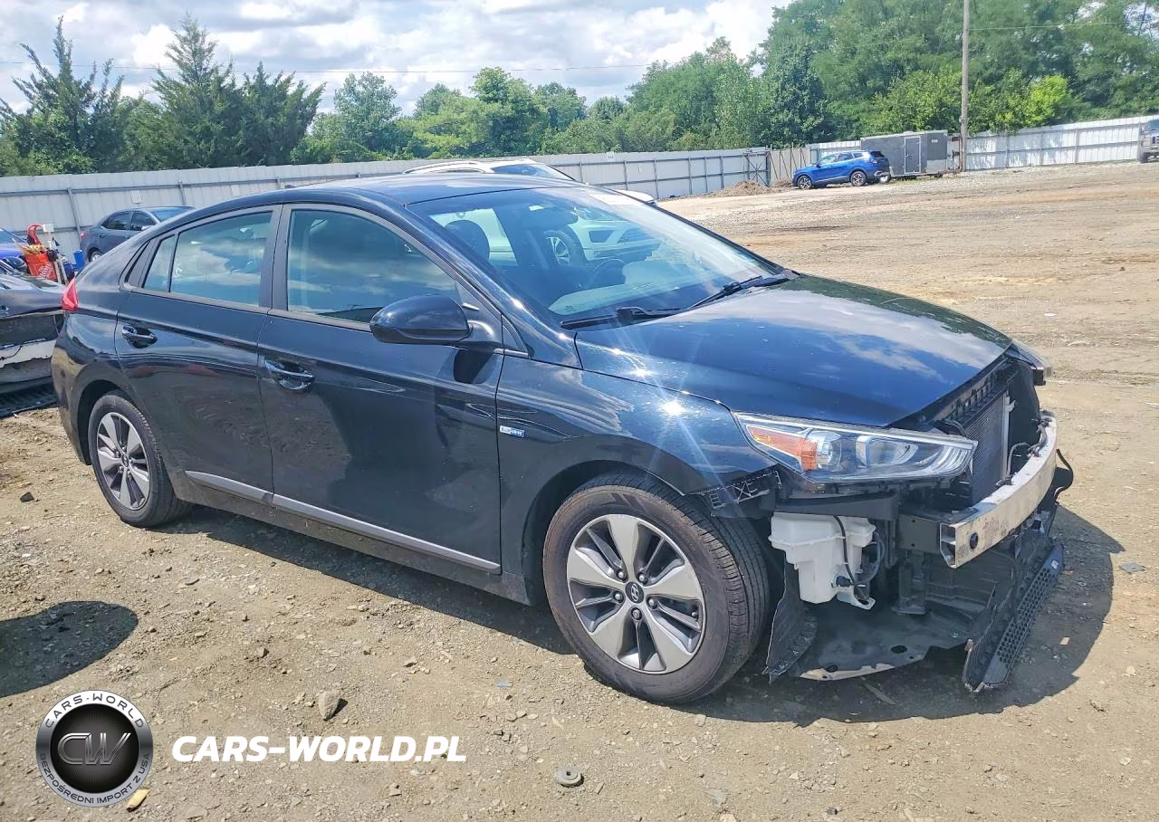 2019 Hyundai Ioniq Plug-In Hybrid Base VIN:KMHC65LD9KU168976 - 4