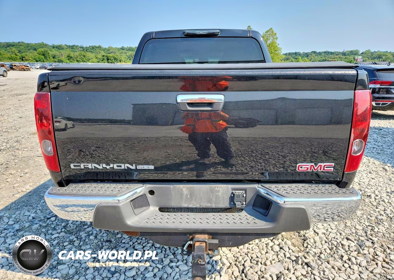 2010 GMC Canyon Sle VIN:1GTJTCDP9A8137784 - 6