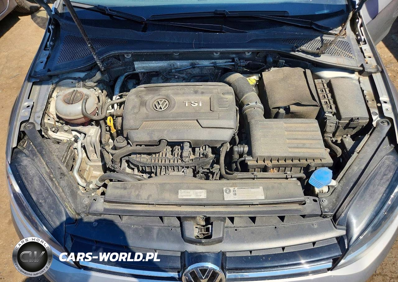 2016 Volkswagen Golf S-Se VIN:3VW217AU1GM065945 - 11
