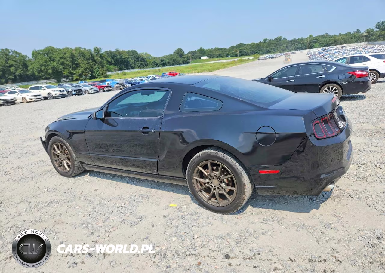 2014 Ford Mustang VIN:1ZVBP8AM2E5306094 - 2