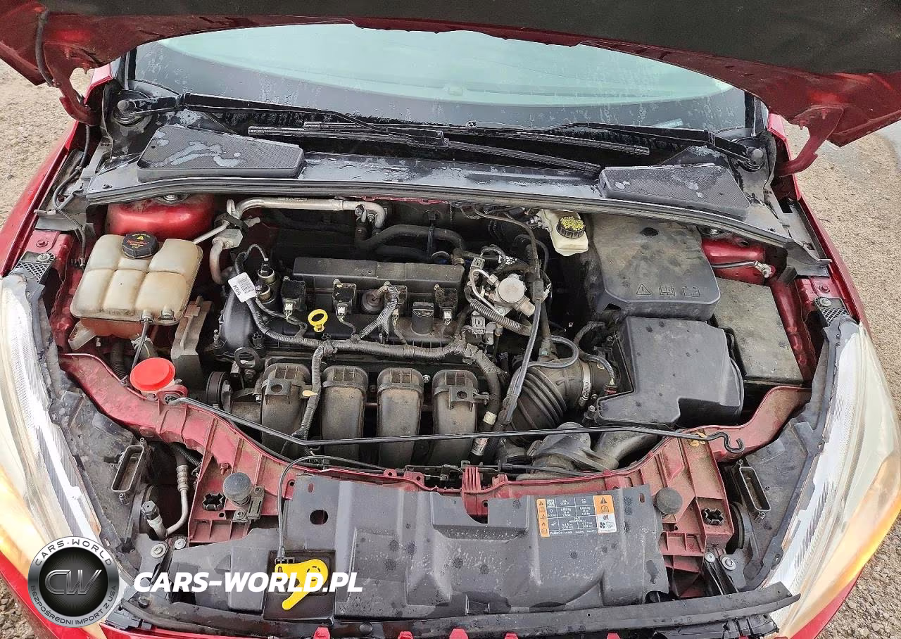 2017 Ford Focus Se VIN:1FADP3F20HL312052 - 11