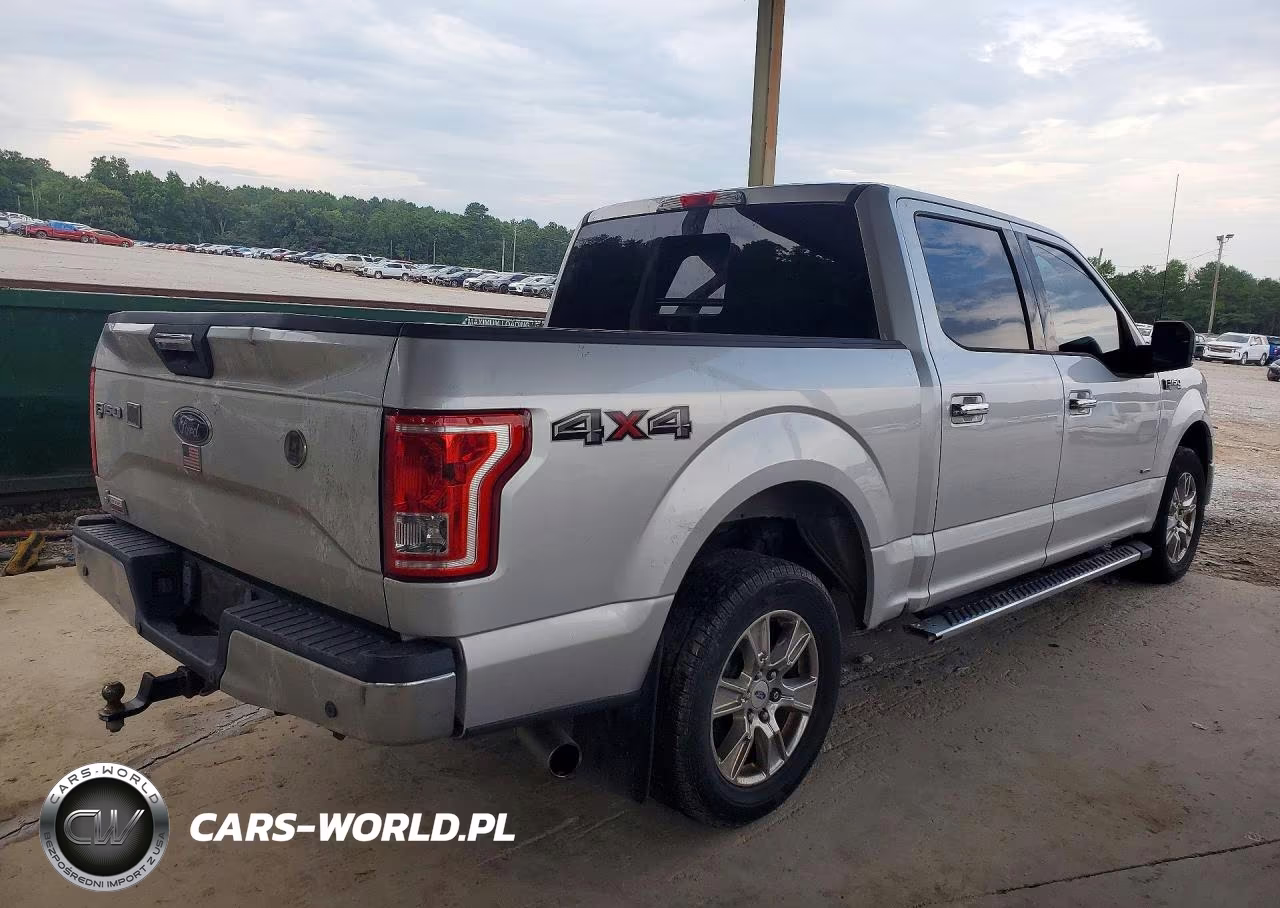 2015 Ford F150 Supercrew VIN:1FTEW1CP4FKD87751 - 3