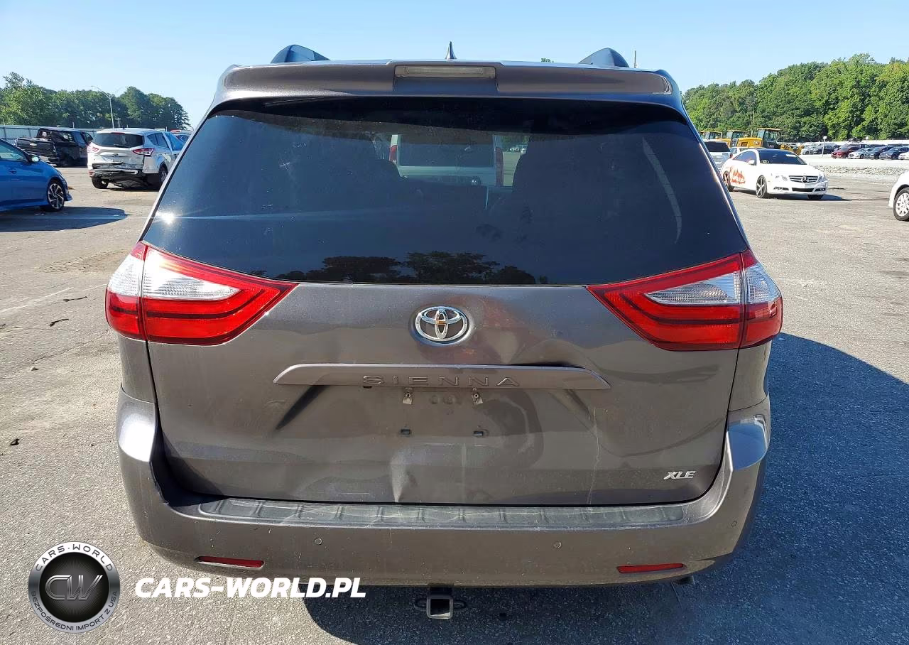 2018 Toyota Sienna Xle Premium 8-Passenger VIN:5TDYZ3DC2JS960353 - 6