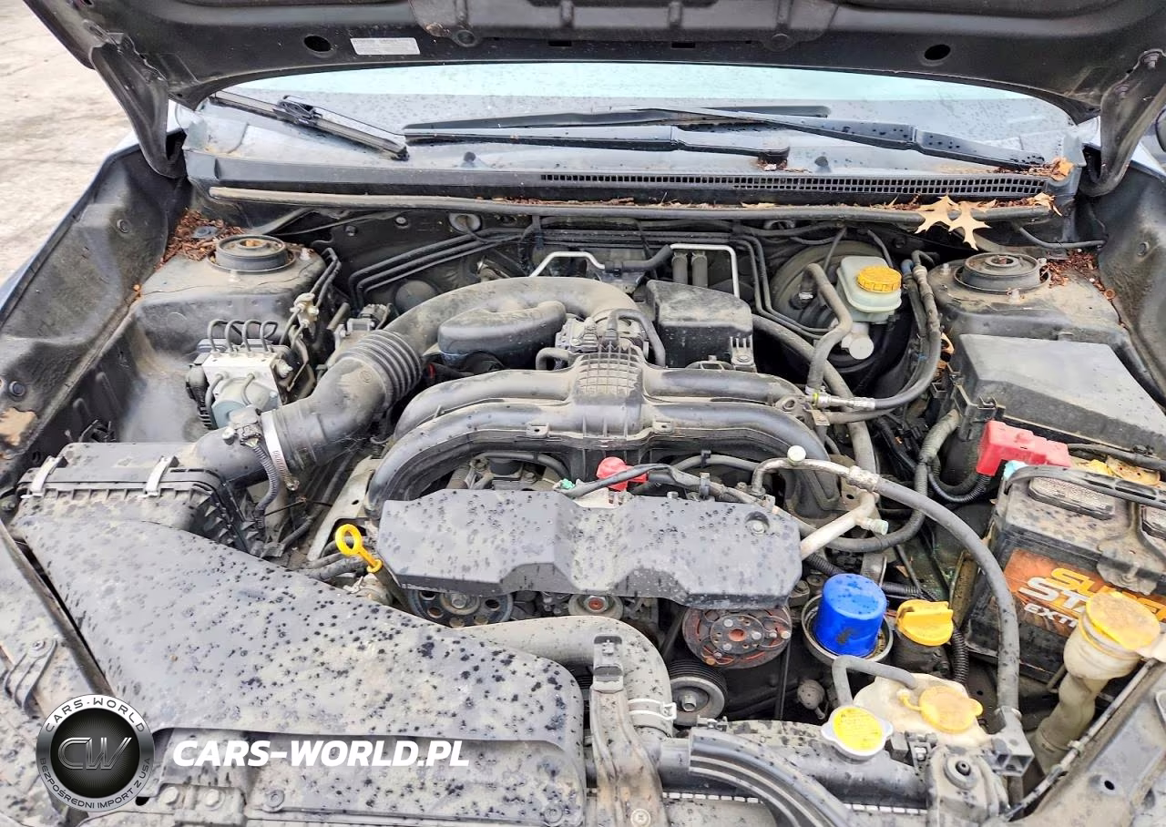 2013 Subaru Xv Crosstrek 2.0 Premium VIN:JF2GPAVC9D2826456 - 12
