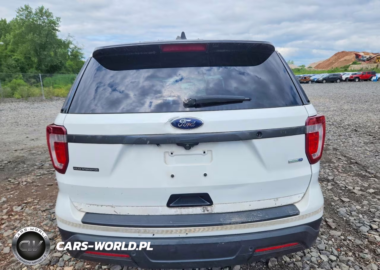 2019 Ford Explorer Police Interceptor VIN:1FM5K8AR6KGB22931 - 6