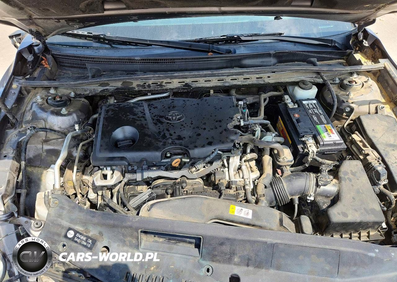 2019 Toyota Camry VIN:4T1B11HK2KU809363 - 11