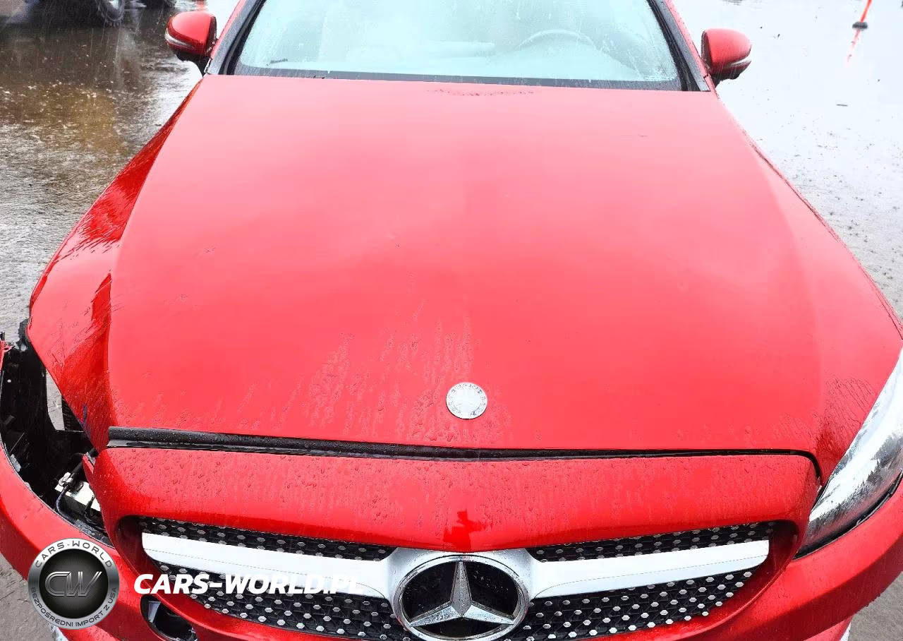 2017 Mercedes-Benz C 300 4Matic VIN:WDDWJ4KB9HF374733 - 11
