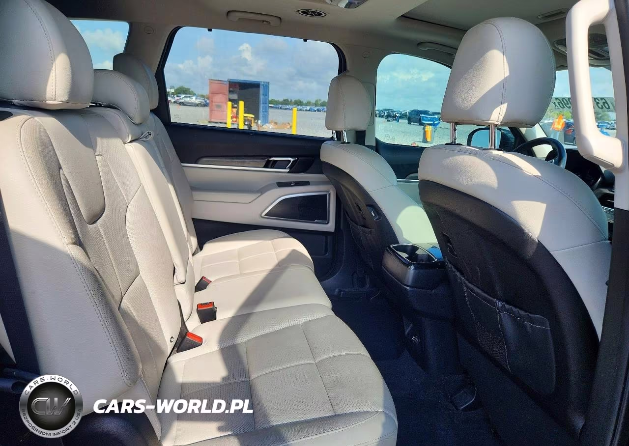 2020 Kia Telluride Ex VIN:5XYP34HC4LG052340 - 10