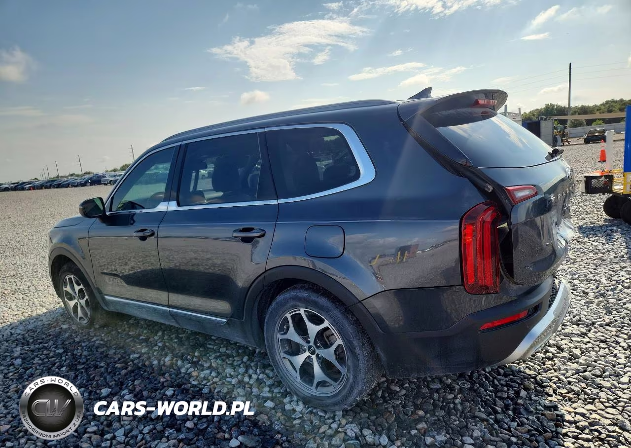 2020 Kia Telluride Ex VIN:5XYP34HC4LG052340 - 2