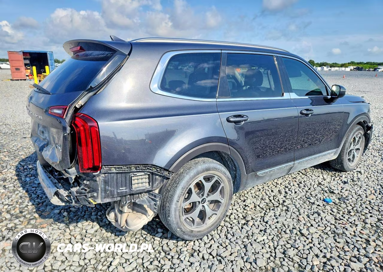 2020 Kia Telluride Ex VIN:5XYP34HC4LG052340 - 3