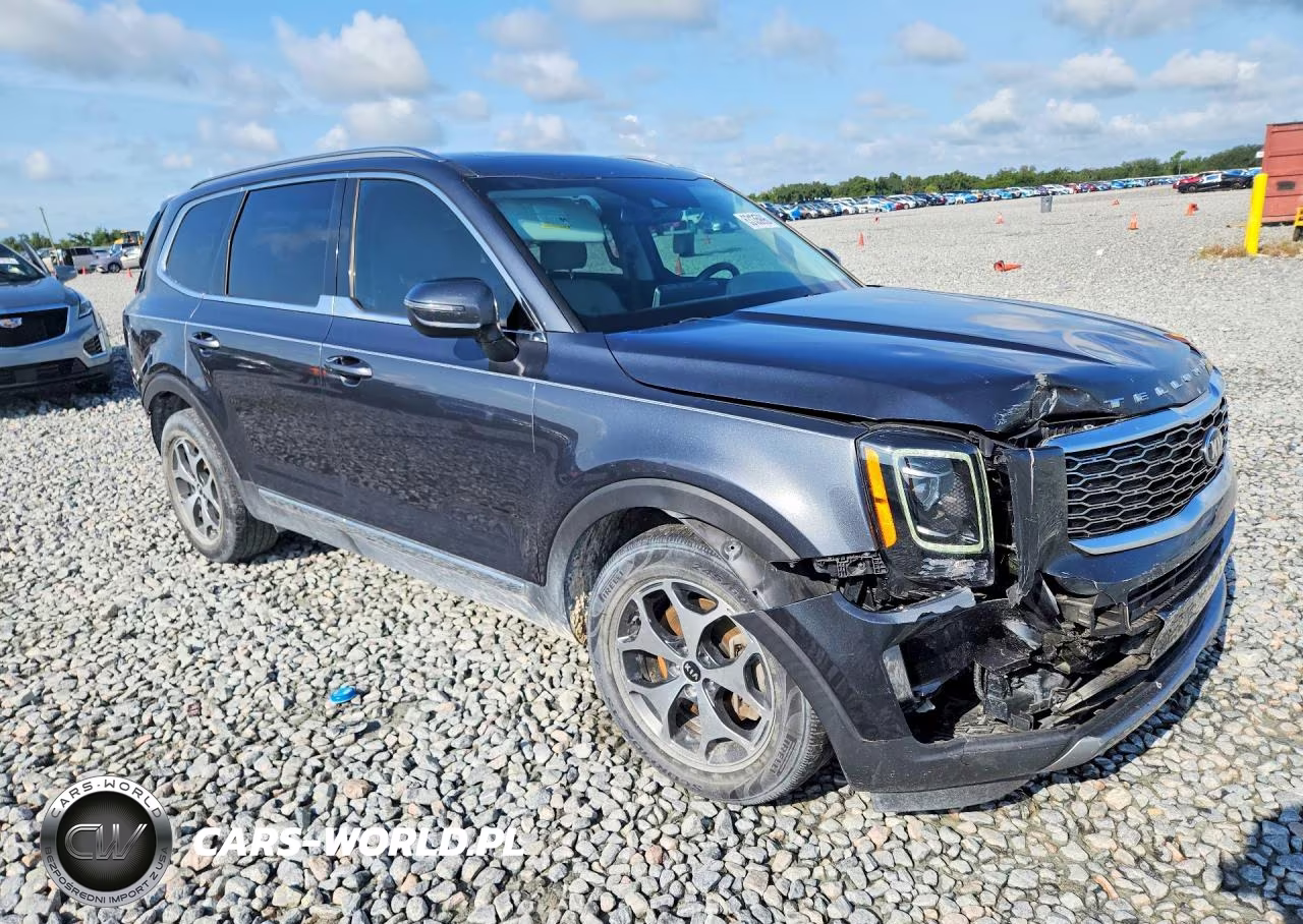2020 Kia Telluride Ex VIN:5XYP34HC4LG052340 - 4