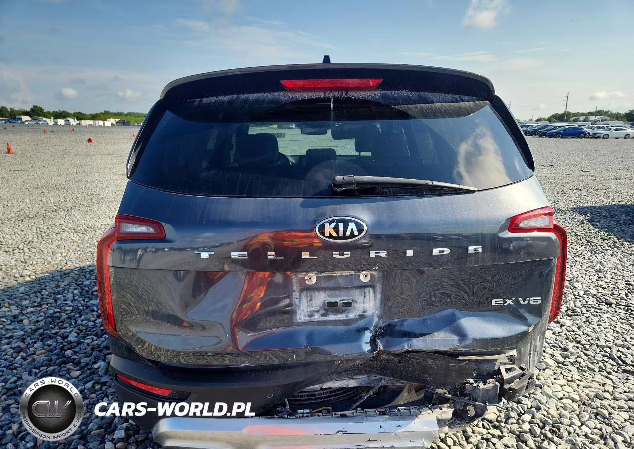 2020 Kia Telluride Ex VIN:5XYP34HC4LG052340 - 6