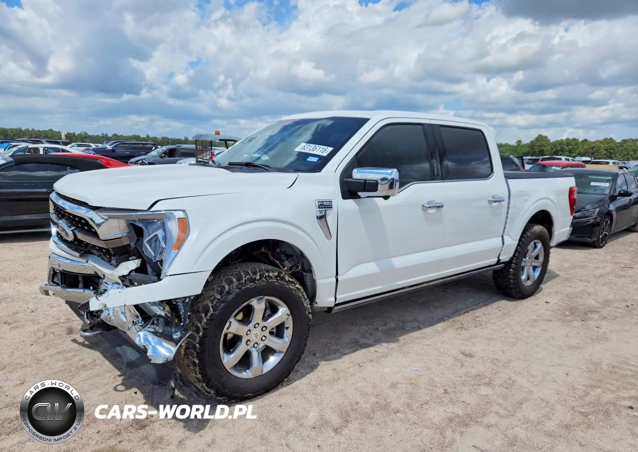 2023 Ford F150 Supercrew VIN:1FTFW1E83PFD21521 - 1