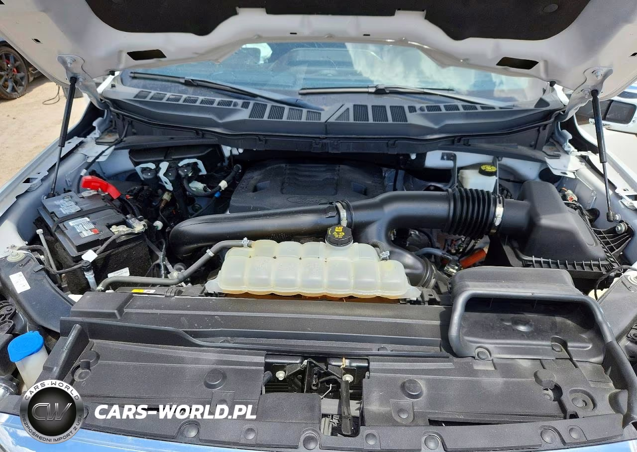 2023 Ford F150 Supercrew VIN:1FTFW1E83PFD21521 - 11