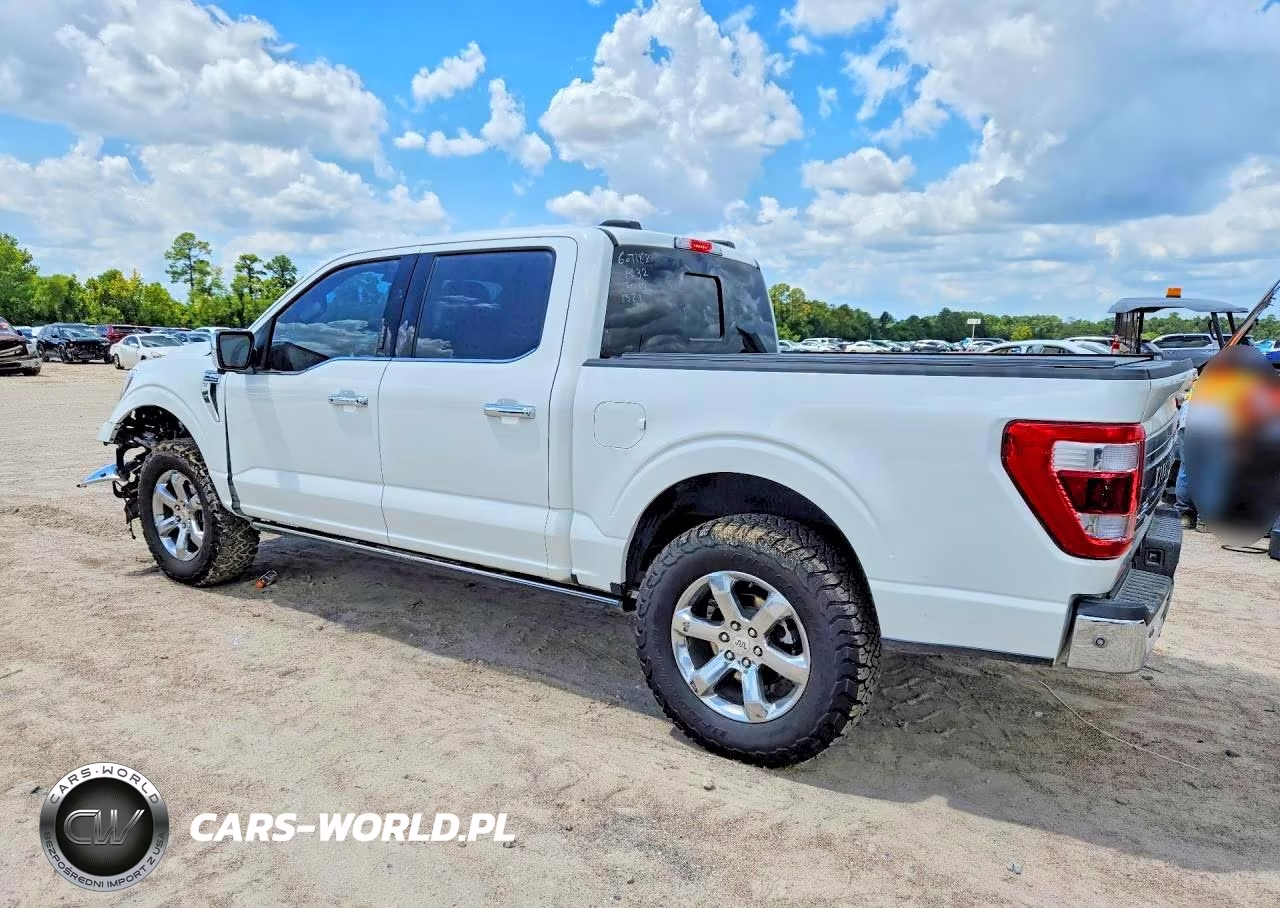 2023 Ford F150 Supercrew VIN:1FTFW1E83PFD21521 - 2