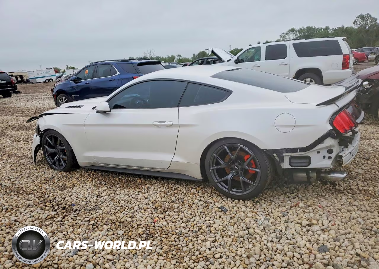 2017 Ford Mustang VIN:1FA6P8AM5H5302426 - 2