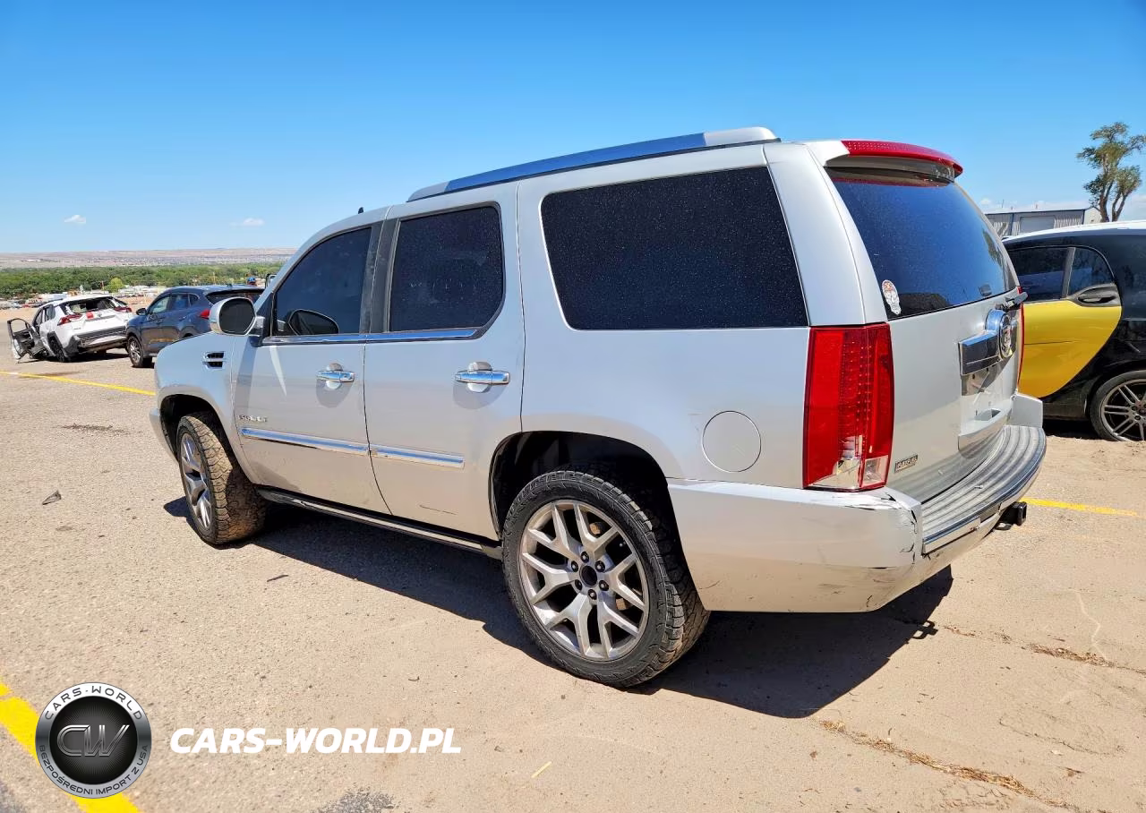 2010 Cadillac Escalade Premium VIN:1GYUKCEF8AR155221 - 2