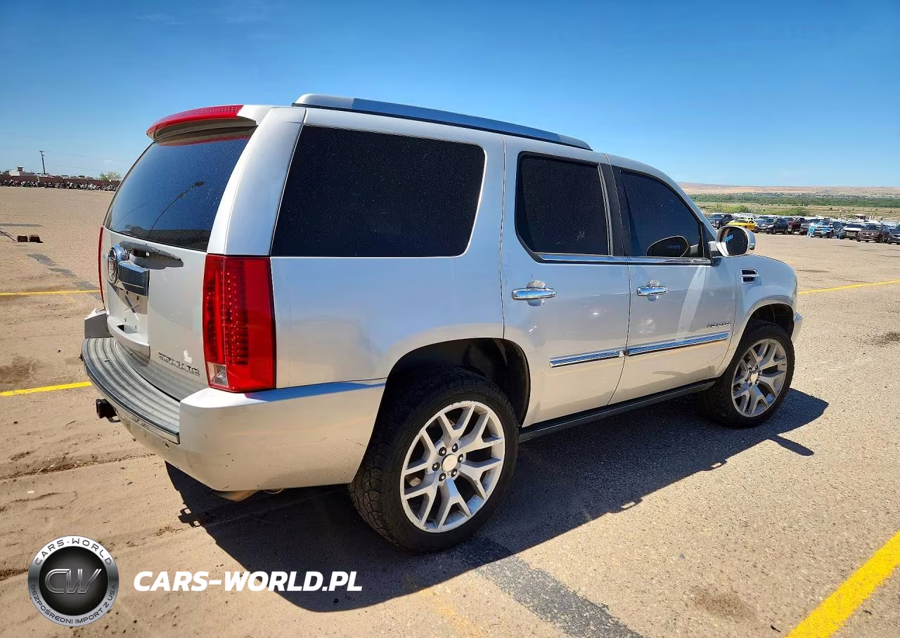 2010 Cadillac Escalade Premium VIN:1GYUKCEF8AR155221 - 3