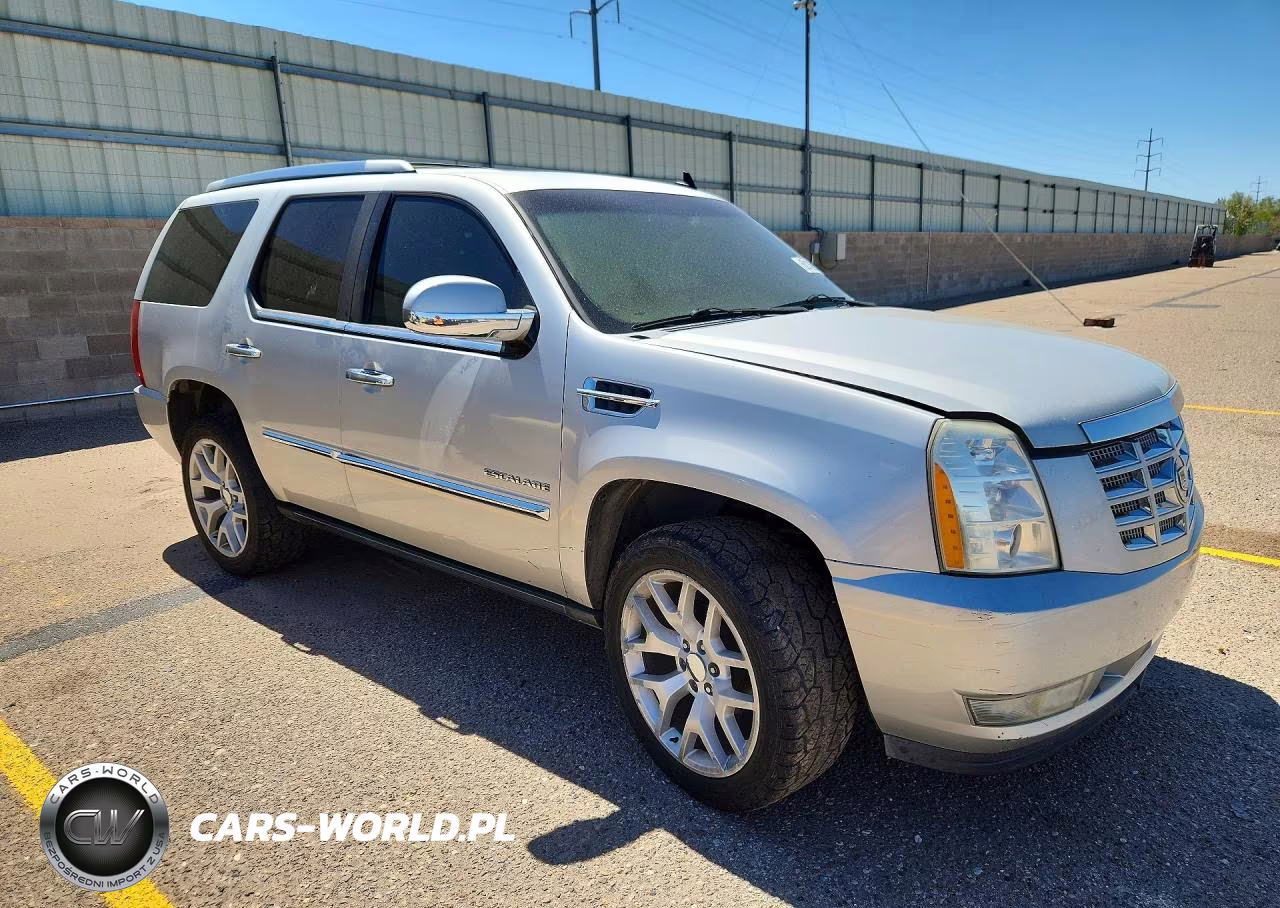 2010 Cadillac Escalade Premium VIN:1GYUKCEF8AR155221 - 4