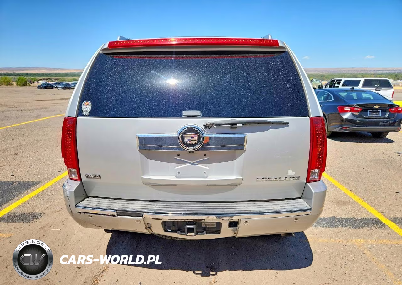 2010 Cadillac Escalade Premium VIN:1GYUKCEF8AR155221 - 6