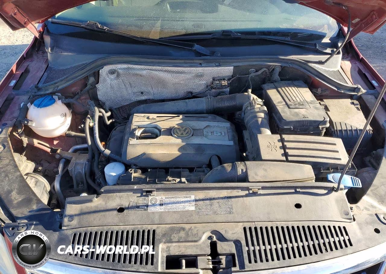 2010 Volkswagen Tiguan S VIN:WVGAV7AX4AW002306 - 12