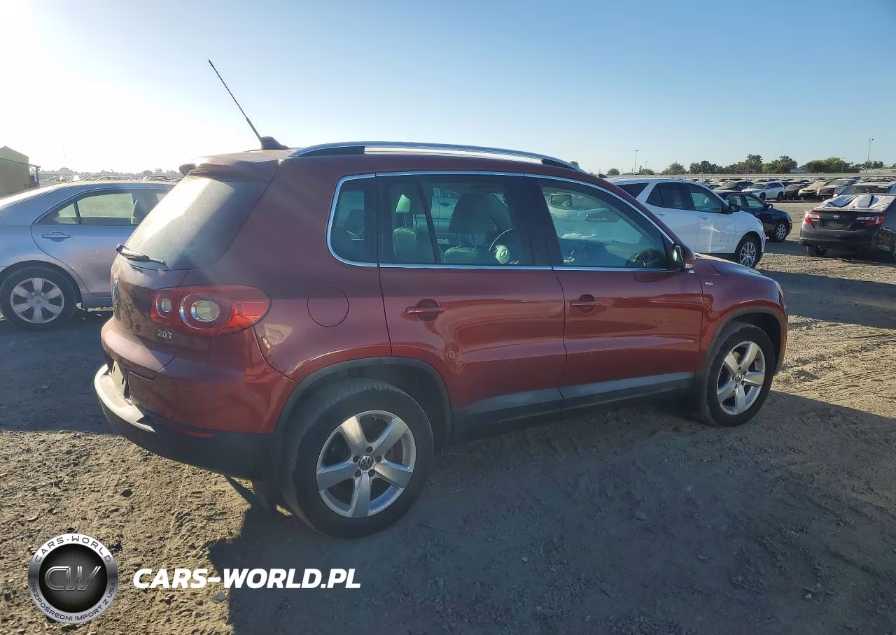 2010 Volkswagen Tiguan S VIN:WVGAV7AX4AW002306 - 3