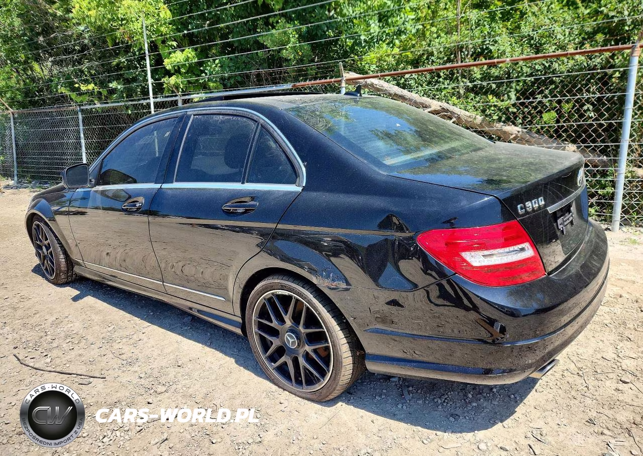 2009 Mercedes-Benz C 300 4Matic VIN:WDDGF81X79F271385 - 2