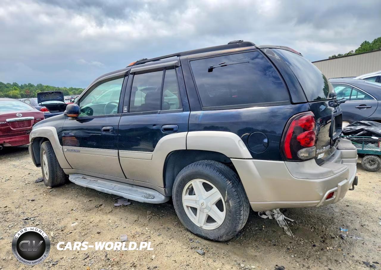 2003 Chevrolet Trailblazer VIN:1GNDT13S532308826 - 2