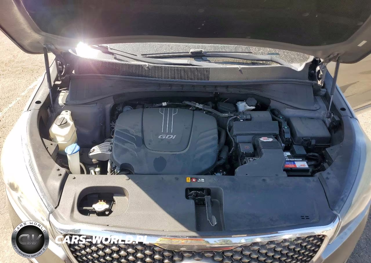 2018 Kia Sorento Sx V6 VIN:5XYPK4A59JG378338 - 12