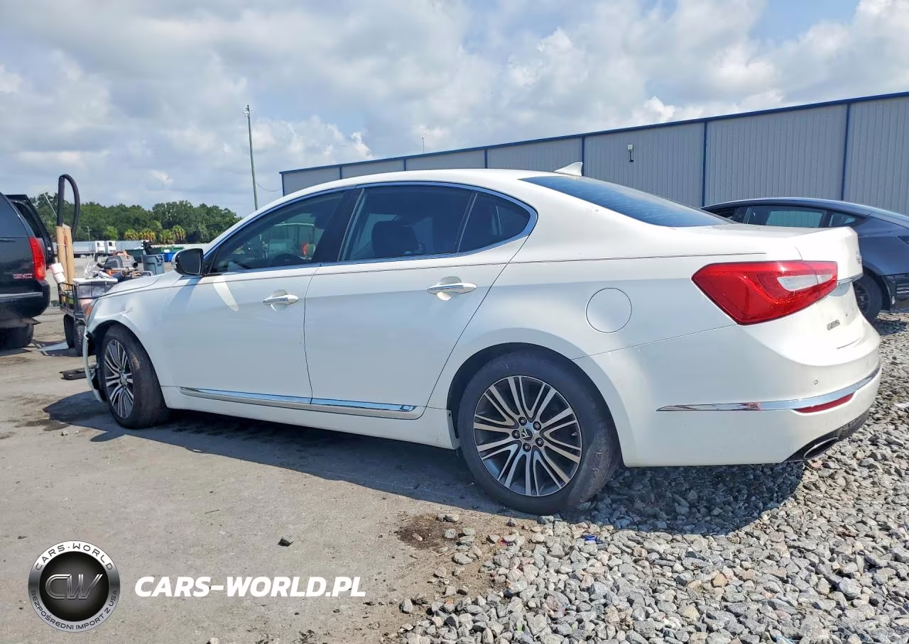 2014 Kia Cadenza Premium VIN:KNALN4D77E5144682 - 2