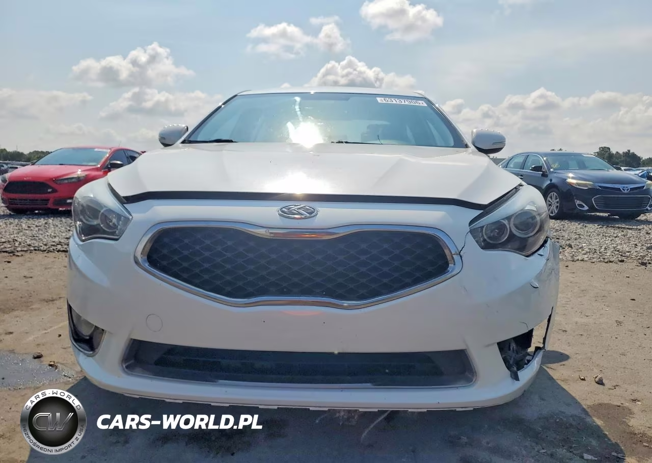 2014 Kia Cadenza Premium VIN:KNALN4D77E5144682 - 5