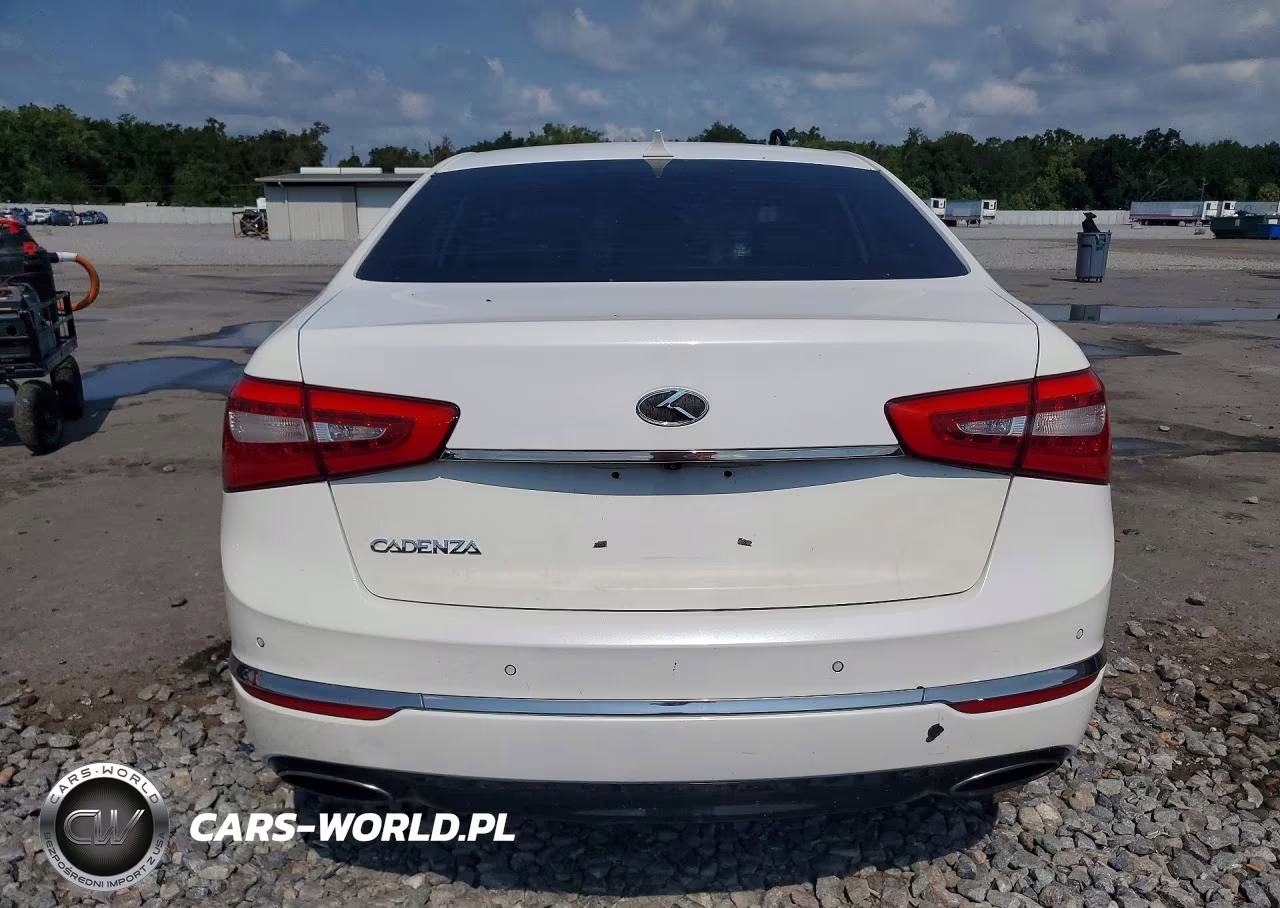 2014 Kia Cadenza Premium VIN:KNALN4D77E5144682 - 6
