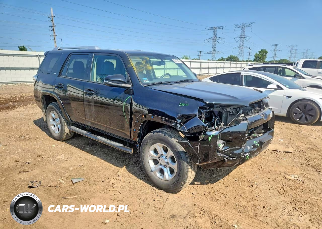 2017 Toyota 4Runner Sr5 Premium VIN:JTEBU5JR1H5430024 - 4
