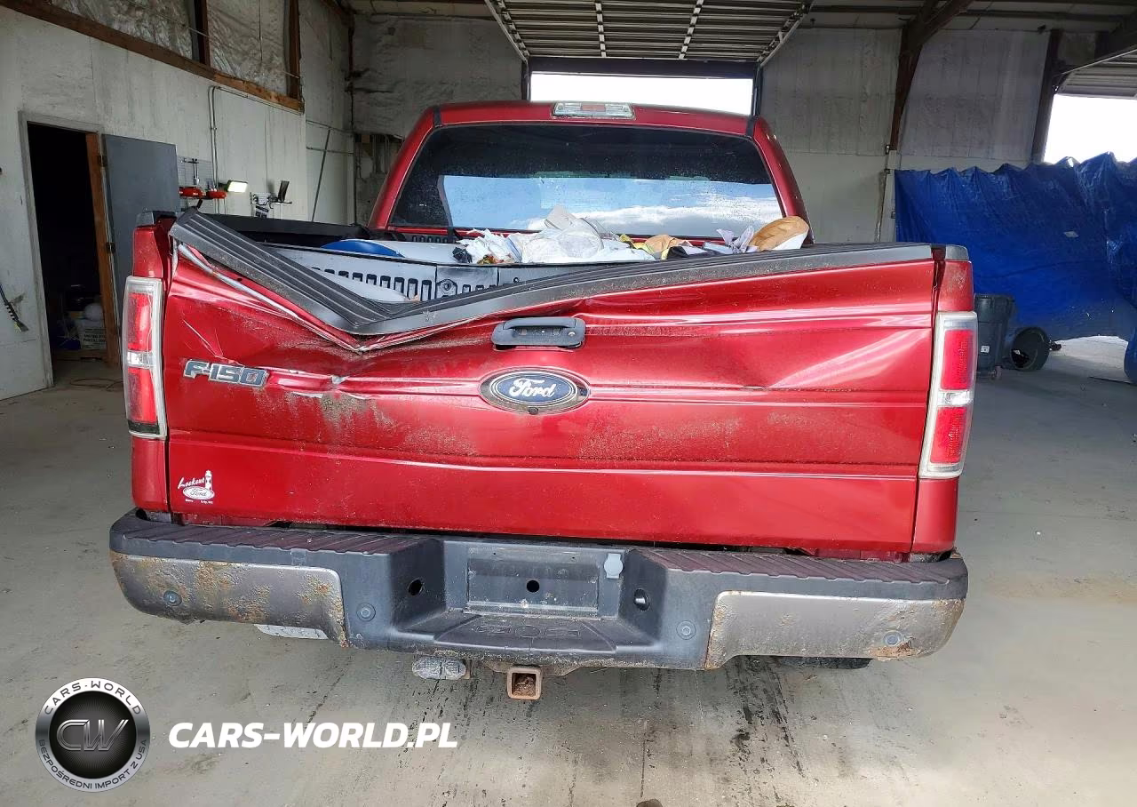 2009 Ford F150 Supercrew VIN:1FTPW14V69FA91908 - 6