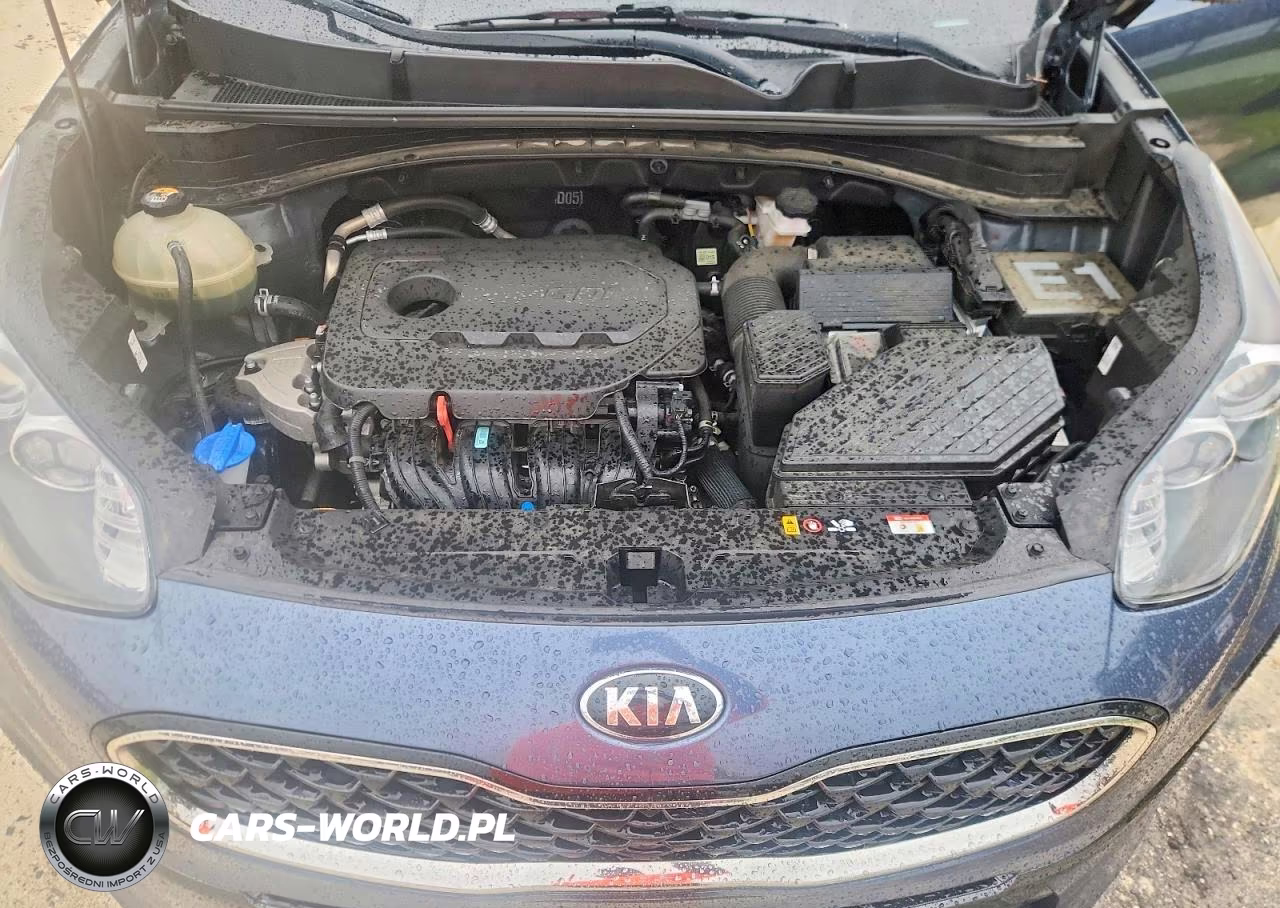 2020 Kia Sportage Lx VIN:KNDPM3AC3L7793092 - 12