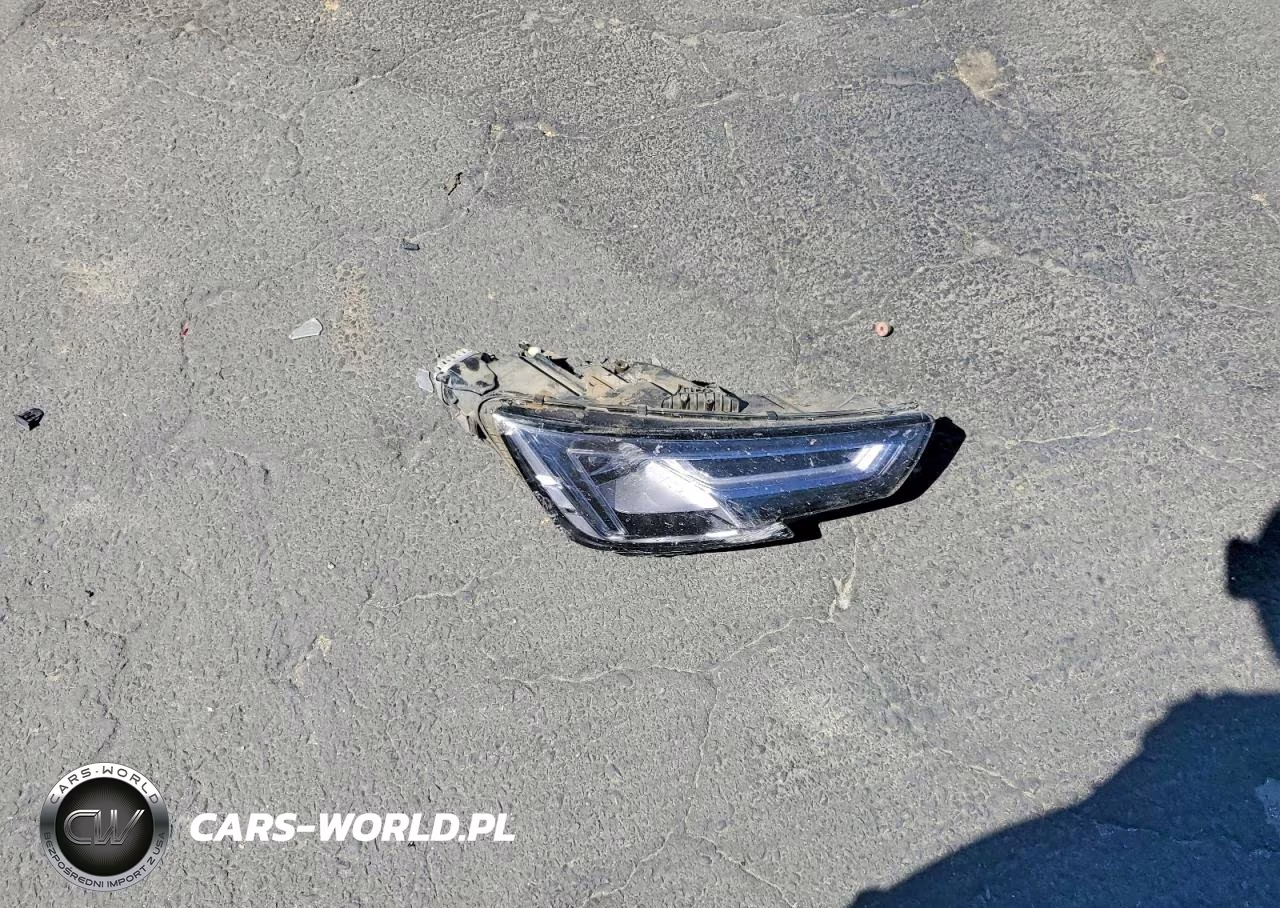 2019 Audi A4 Premium Plus VIN:WAUENAF43KN014212 - 12