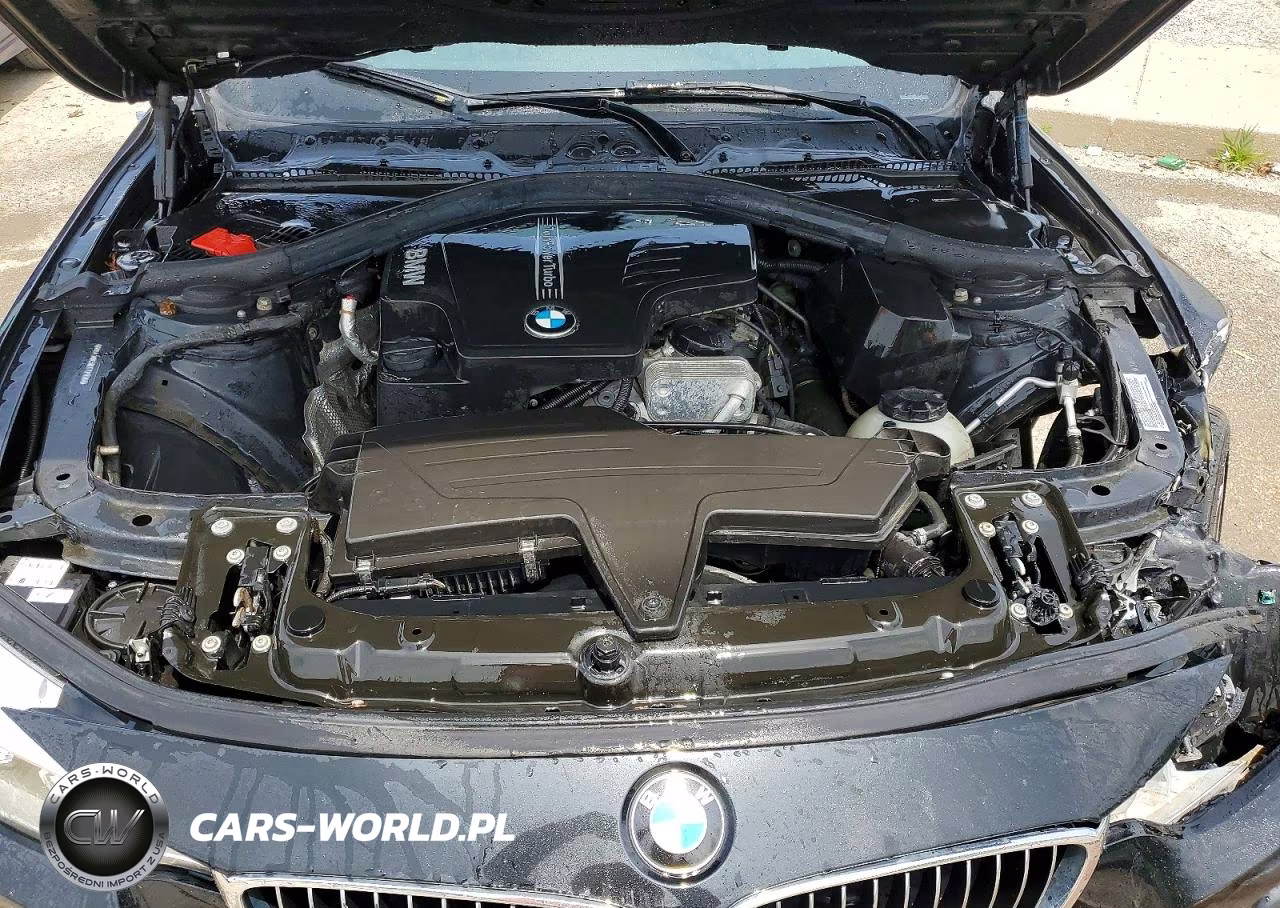 2014 BMW 428 Xi VIN:WBA3N9C58EF721226 - 11