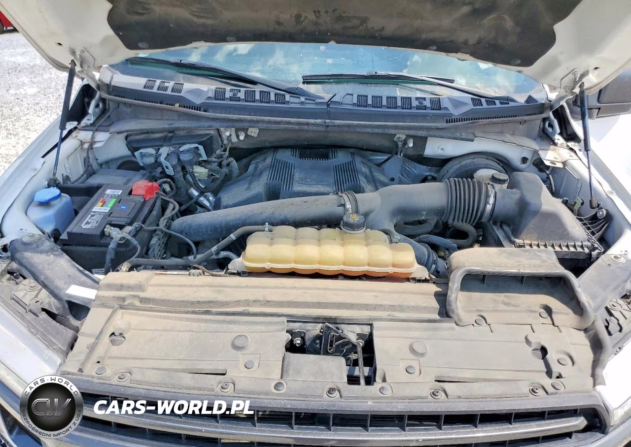 2020 Ford F150 Supercrew VIN:1FTEW1C44LKD43038 - 11
